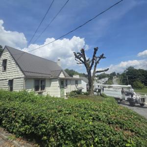 Corson Tree Services