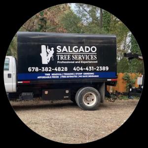 Salgado Tree Service Ellenwood