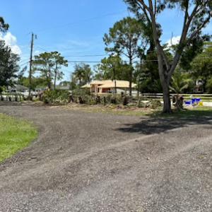 All Budgets Lawn Care & Trees