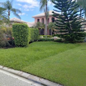 Flo Cuts Landscaping Tree Trimming & Pressure Cleaning