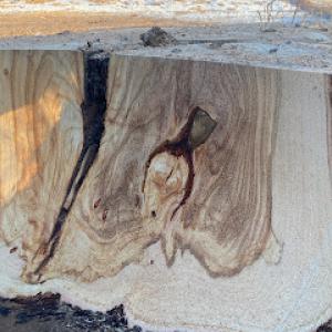 Jumpin' Jim's Stump Grinding