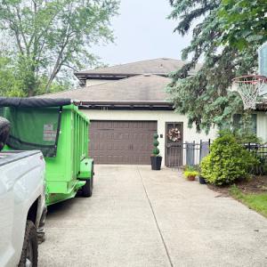 Stump Grinding/Removal | Stump Busters