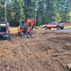 Abernathy Stump Grinding
