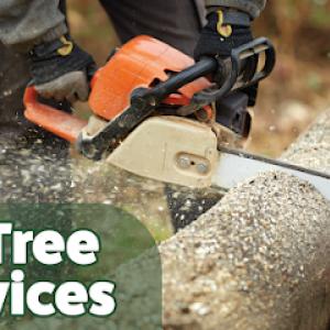 BP Tree Services