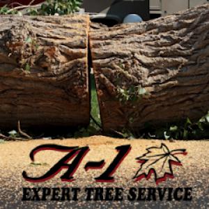 A-1 Expert Tree Service