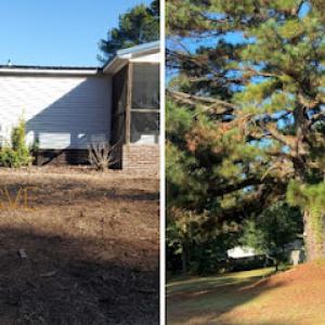 Stowe's Vegetation Experts