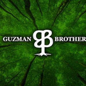 Guzman Brothers Tree Services