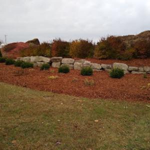 Johnson Ops Tree Care