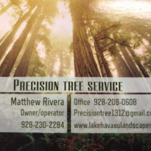 Precision Tree Service Lake Havasu City