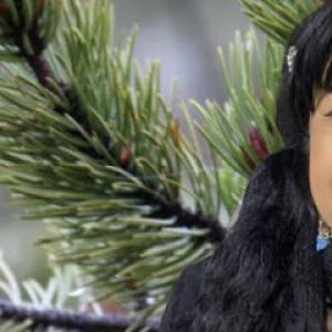 UFS Tree Care Orange County Affordable Services