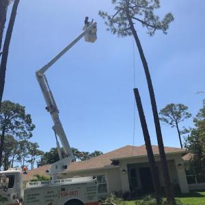 J & H Tree Service