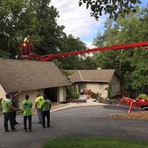 Gebhard & Son Tree Service