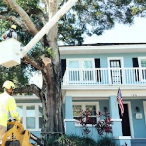 Arbor Wise Tree Services