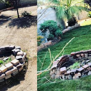 Illuminatree Landscaping