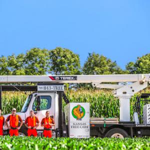 Kansas Tree Care