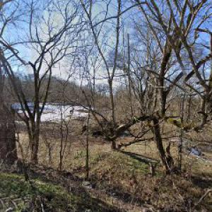 Lenny’s Tree Service