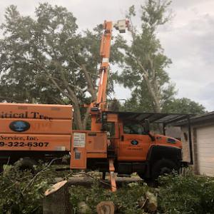 Critical Tree Service
