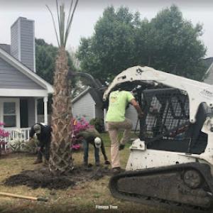 Fitness Tree Service
