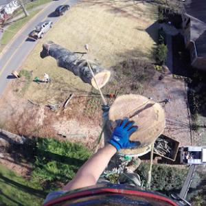 Arbor-All Tree Service