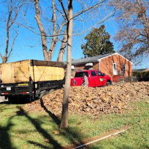 Bonita Lawn & Tree Service