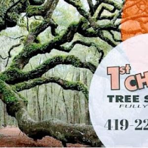 1st Choice Tree Service