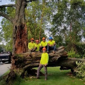 RGS Tree Service