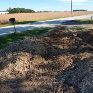 J & N Stump Grinding