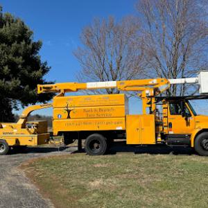 Bark & Branch Tree Service