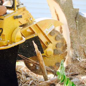 Brett's Stump Grinding