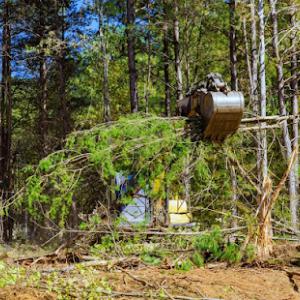 Lumbee Outfitters Tree Service