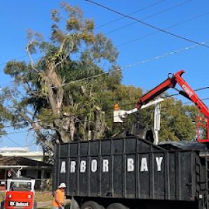 Arbor Bay Tree Service