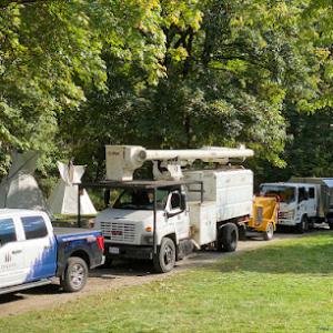 Lombardi Tree Service