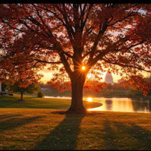 Autumn's Tree Care & Seasonal Services