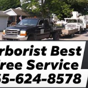 Arborists Best Tree & Landscape