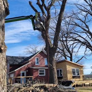 American Family Tree Service