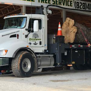 Dominguez Tree Service & Crane