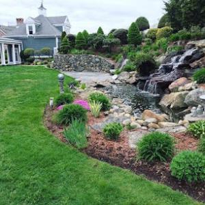 Green Paradise Services