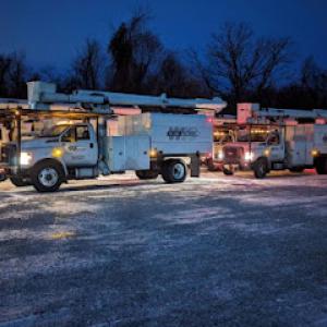 Williams Tree Company