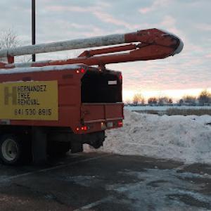 Hernandez Tree Removal