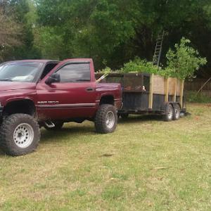 Sanchez Trimming Tree Service ,LLC