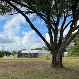 Starrett Stump Grinding | Professional Tree Services