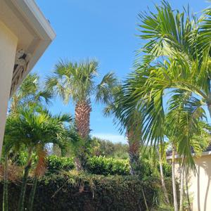 Wright's tree care & disaster relief