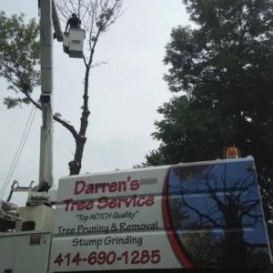 Darren's Tree Service