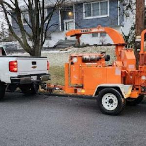 Appalachian Tree Surgeons & Sons