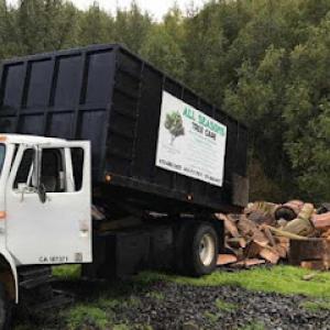 All Seasons Tree Care