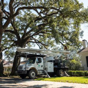 Jay Eubanks Tree Service