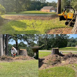 MAD Stump Grinding & More