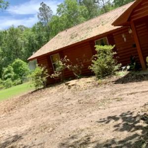 Beaver Cleaver Tree Service Moultrie, GA