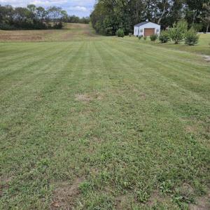 Bethel & landscaping lawn care