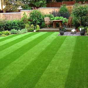 Pearl City Lawn & Pest Control